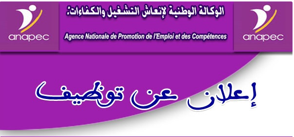 Agence Nationale de Promotion de l'Emploi