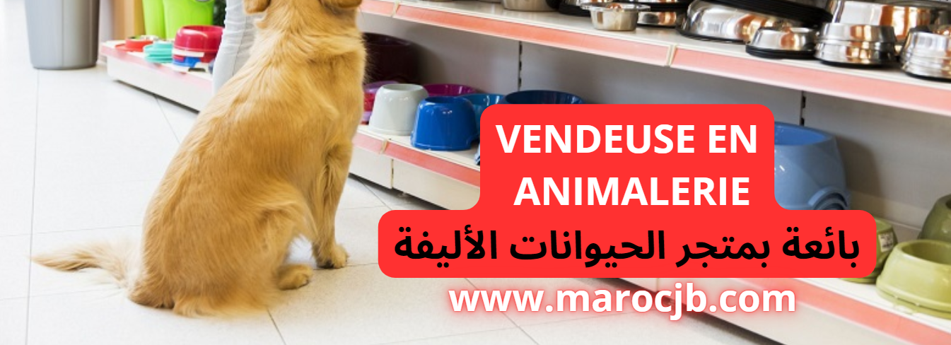 vendeuse en animalerie بائعة بمتجر الحيوانات الأليفة